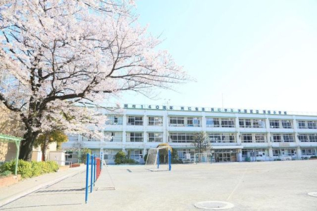 ӊ c旧cwZ k7B 560m