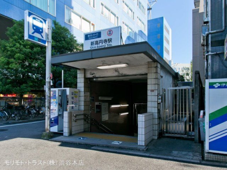 ӊ nSۃmuV~vw Be(2022-08-18) 500m