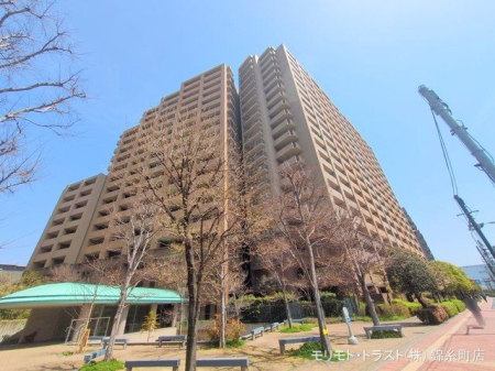 nOώʐ^ Be(2025-04-08)