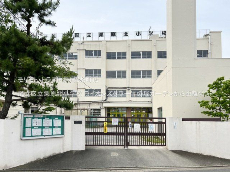 ӊ 旧IkwZ Be(2023-06-05) 440m