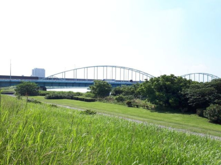 ӊ 勴Βn k31B 2440m