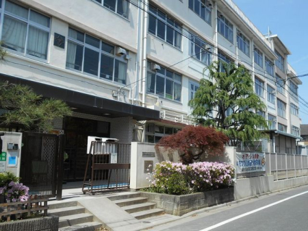 ӊ c旧X掵wZ k7B 540m