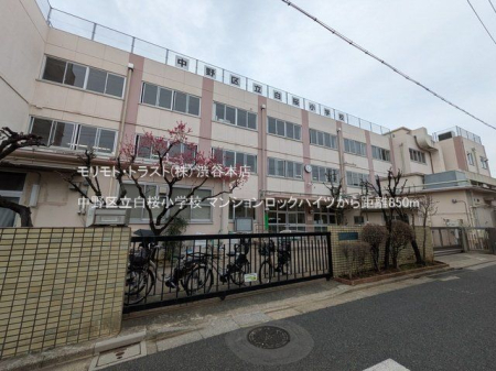 ӊ 旧wZ Be(2025-03-11) 850m
