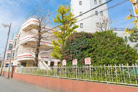 ���ӊ� ���֗c�t�� �k��4���B 260m