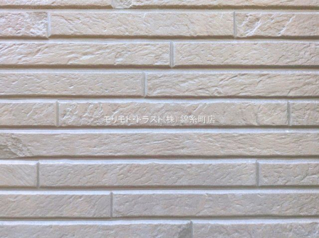 ���n�O�ώʐ^ �B�e��(2025-12-09 00:00:00)