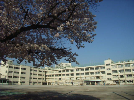 ӊ ڍ旧RwZ k8B 620m