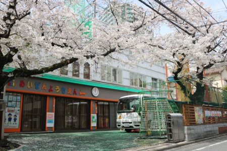 ӊ Pct k4B 260m