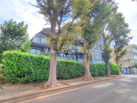 ���n�O�ώʐ^ �B�e��(2025-10-06 00:00:00)