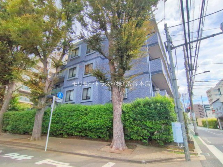 ���n�O�ώʐ^ �B�e��(2025-10-06 00:00:00)