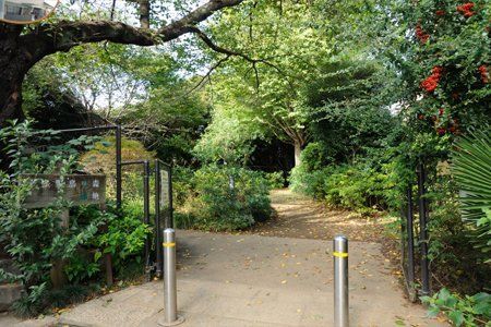 ӊ \쒹̐XΒn k10B 780m