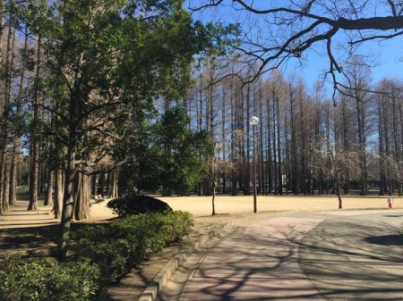 ���ӊ� ���Βn �k��7���B 500m