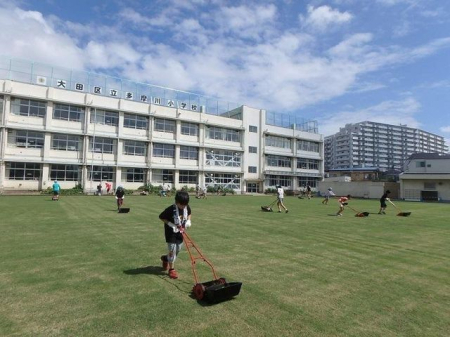 ӊ c旧쏬wZ k7B 550m