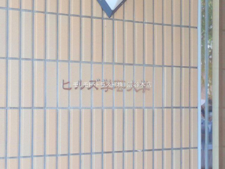 nOώʐ^ Be(2025-09-25 00:00:00)