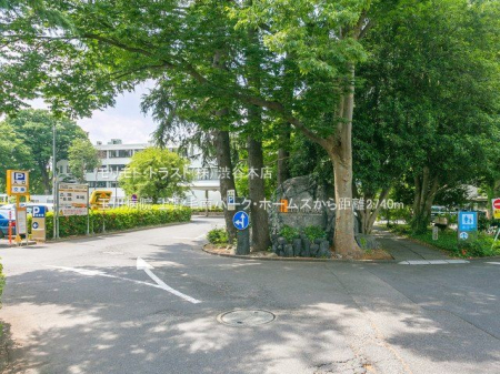 ӊ ʐa@ Be(2022-06-03) 2740m