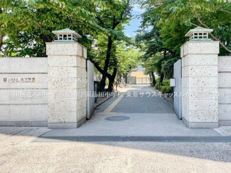 ӊ i旧эZiwi쏬wZ Be(2022-06-29) 260m