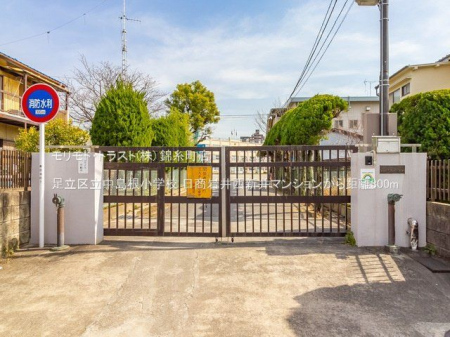 ӊ 旧wZ Be(2021-03-01) 300m