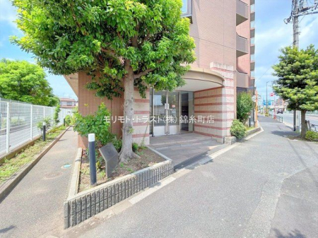 GgX Be(2024-08-19 00:00:00)