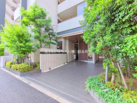 GgX Be(2025-08-05 00:00:00)