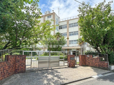 ӊ 旧䏬wZ Be(2024-07-09) 700m