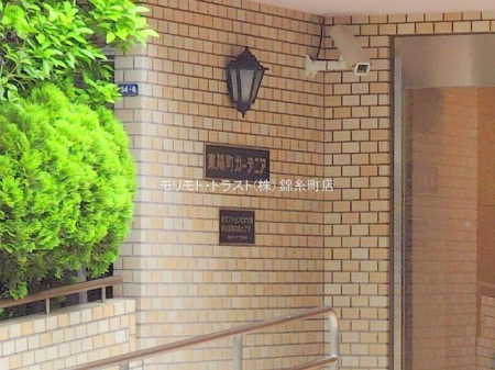 GgX Be(2025-05-19 00:00:00)