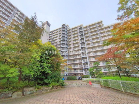 nOώʐ^ Be(2025-10-23 00:00:00)