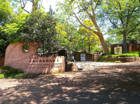 ӊ XLˈՒ뉀 k11B 870m