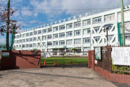 ӊ nc旧OڏwZ k5B 390m