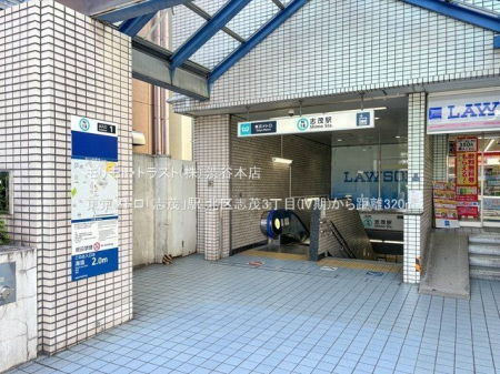 ���ӊ� �������g���u�u�΁v�w �B�e��(2024-10-21) 320m