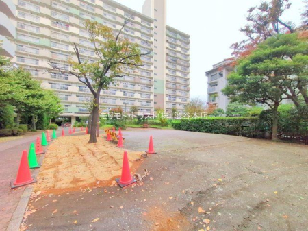 nOώʐ^ Be(2025-11-13 00:00:00)