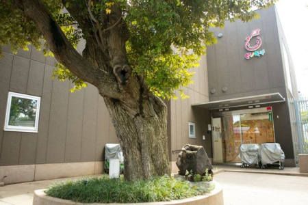 ���ӊ� �s�m�L�I�c���Ɉ䉬�ۈ牀 �k��4���B 290m