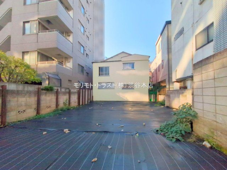 ���n�y�n�ʐ^ �B�e��(2025-11-21 00:00:00)