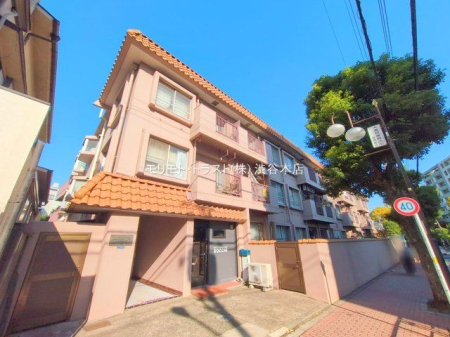 ���n�O�ώʐ^ �B�e��(2025-11-07)