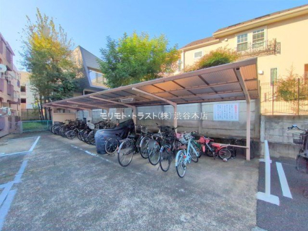 ���n�O�ώʐ^ �B�e��(2025-11-07 00:00:00)