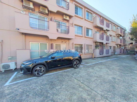 ���n�O�ώʐ^ �B�e��(2025-11-07 00:00:00)