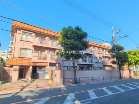 ���n�O�ώʐ^ �B�e��(2025-11-07)