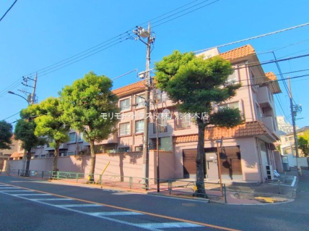 ���n�O�ώʐ^ �B�e��(2025-11-07 00:00:00)