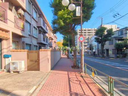 ���n�O�ώʐ^ �B�e��(2025-11-07 00:00:00)