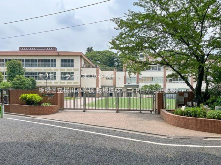 ӊ 旧쏬wZ Be(2023-06-26) 390m