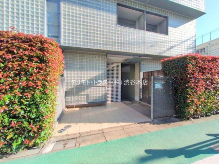 �G���g�����X �B�e��(2025-11-14)