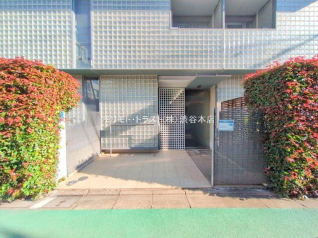 �G���g�����X �B�e��(2025-11-14 00:00:00)