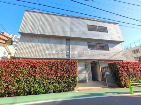 ���n�O�ώʐ^ �B�e��(2025-11-14 00:00:00)