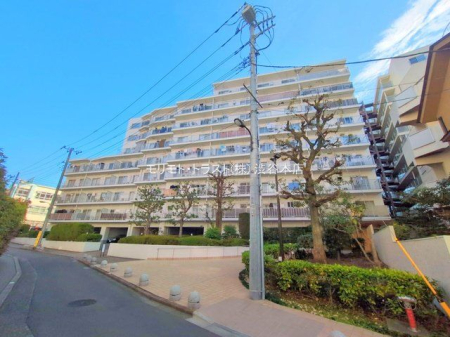 ���n�O�ώʐ^ �B�e��(2025-11-21)