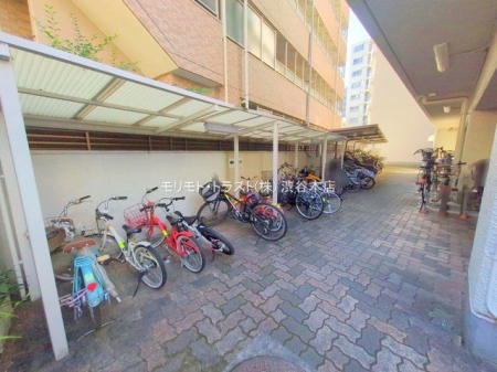 ���n�O�ώʐ^ �B�e��(2025-11-21 00:00:00)