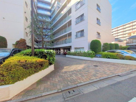 ���n�O�ώʐ^ �B�e��(2025-11-21 00:00:00)