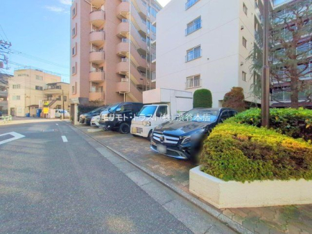 ���n�O�ώʐ^ �B�e��(2025-11-21 00:00:00)