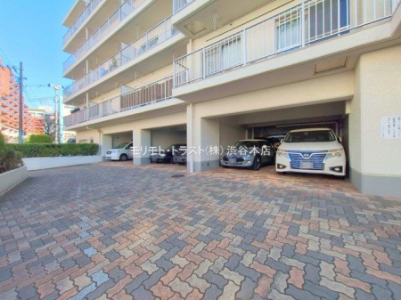 ���n�O�ώʐ^ �B�e��(2025-11-21 00:00:00)