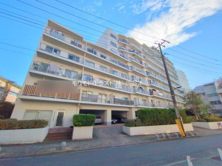 ���n�O�ώʐ^ �B�e��(2025-11-21)