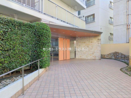 �G���g�����X �B�e��(2025-11-21)