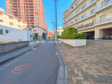 ���n�O�ώʐ^ �B�e��(2025-11-21 00:00:00)