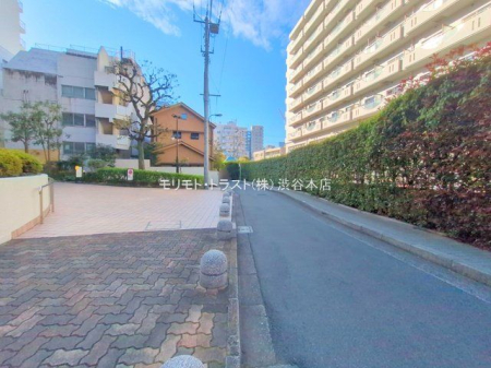 ���n�O�ώʐ^ �B�e��(2025-11-21 00:00:00)